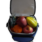 El almuerzo personalizado Totes el bolso del refrigerador de la comida campestre con el compartimiento dos